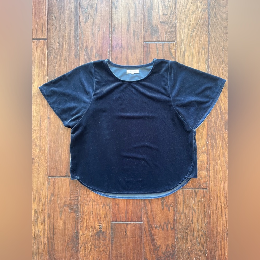 Madewell Blue Velvet Tee Size XS